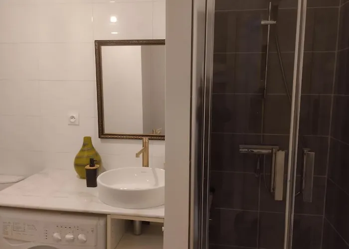 Hortensia 2 Etoiles Dans Maison De A 400m Du Centre * 艾克斯莱班