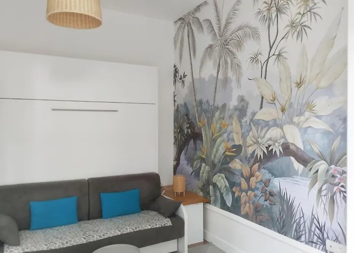 Hortensia 2 Etoiles Dans Maison De A 400m Du Centre